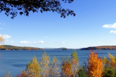 Fall Foliage
