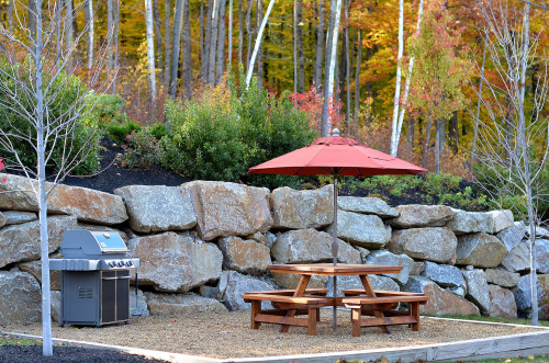 Townhomes Picnic Area