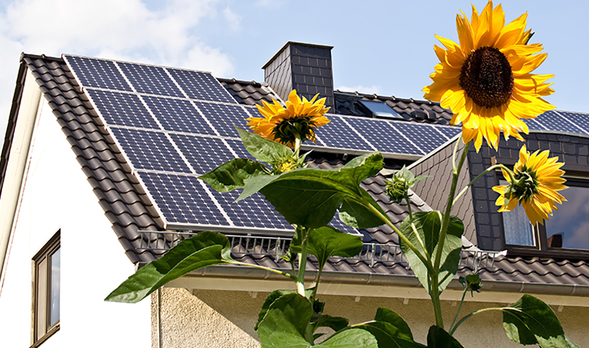 Renewable Energy Sources for Your Lake Home