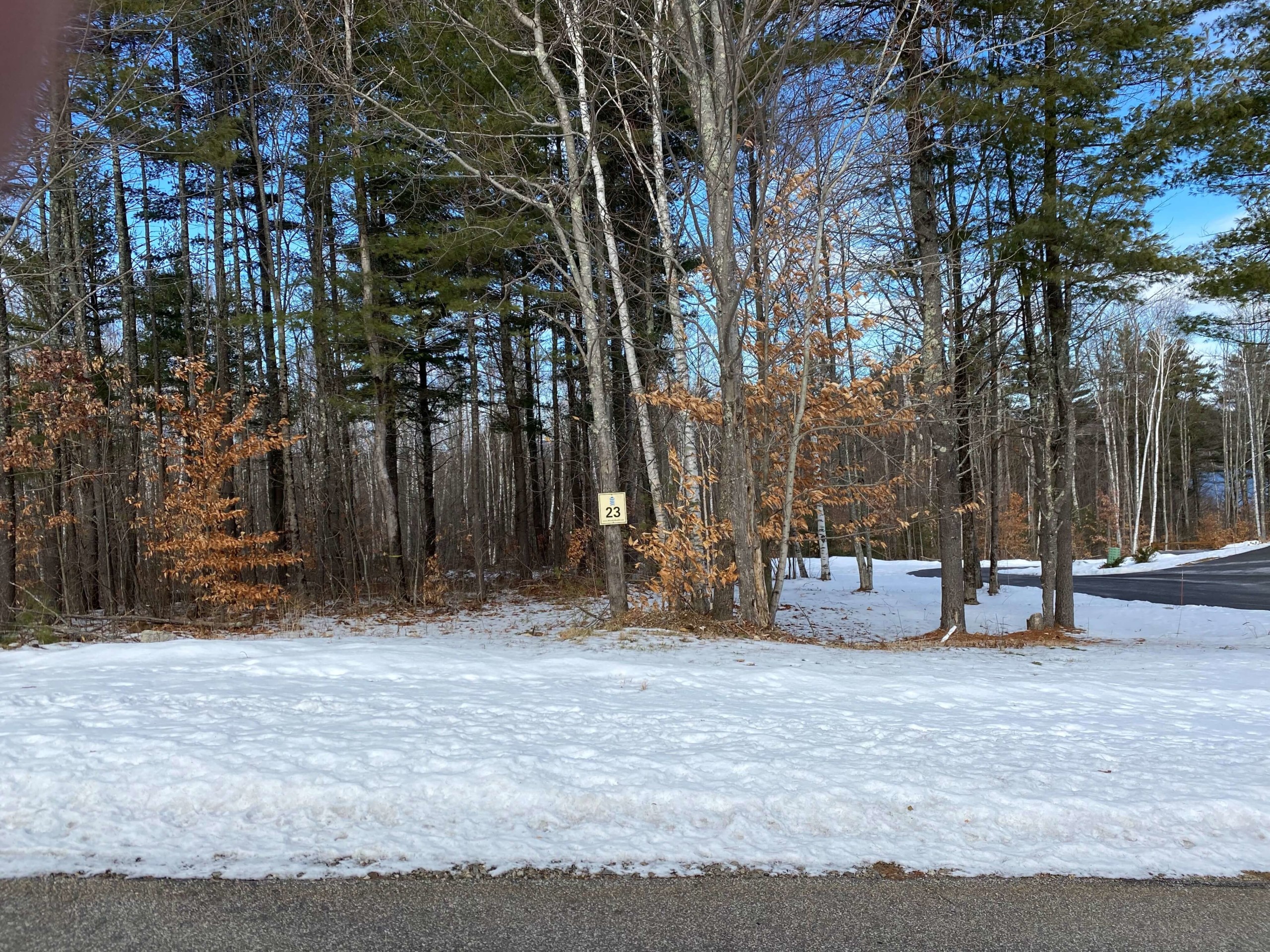 Beautiful Wooded Homesite Meredith Bay Lakes Region NH Real Estate
