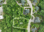 lot 98 highlight-2